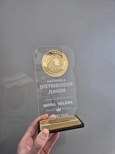 Placa Trofeo Premio Reconocimiento Acrílico Rectangular Transparente / Dorado - Imagen 4
