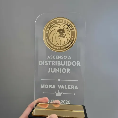 Placa Trofeo Premio Reconocimiento Acrílico Rectangular Transparente / Dorado - Imagen 7