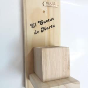 Macetero De Pared Personalizado. Ideal Cactus Y Suculentas