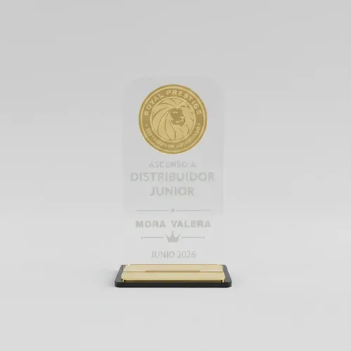 Placa Trofeo Premio Reconocimiento Acrílico Rectangular Transparente / Dorado - Imagen 8
