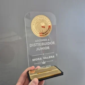 Placa Trofeo Premio Reconocimiento Acrílico Rectangular Transparente / Dorado