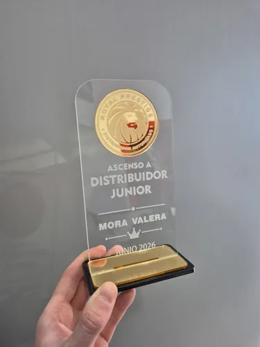 Placa Trofeo Premio Reconocimiento Acrílico Rectangular Transparente / Dorado
